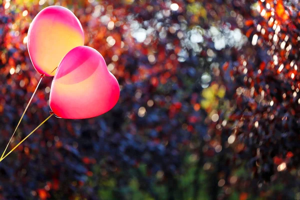 Liebe Herz Luftballons — Stockfoto