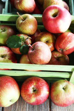 Sulu elma kutusunda, yakın çekim