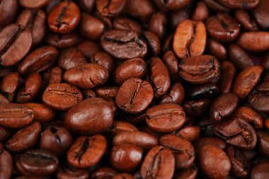 Kavrulmuş kahve çekirdeği.