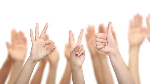 Groupe de mains isolé sur blanc — Photo