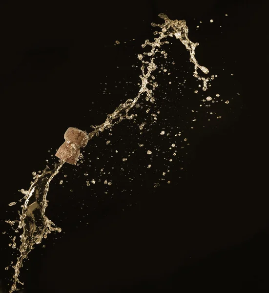 Champagne splashes with cork on black background — Stock Photo, Image