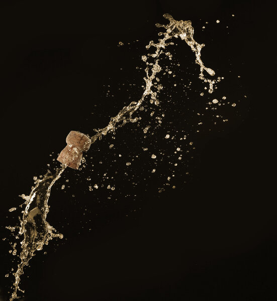 Champagne splashes with cork on black background
