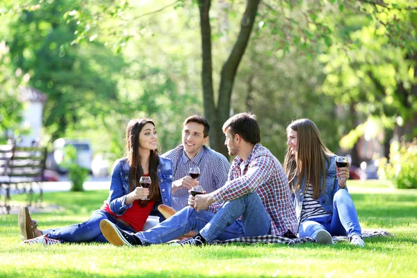 Lykkelige venner på piknik i parken – stockfoto