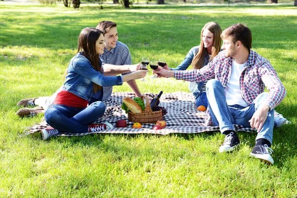 Amigos felizes no piquenique no parque — Fotografia de Stock