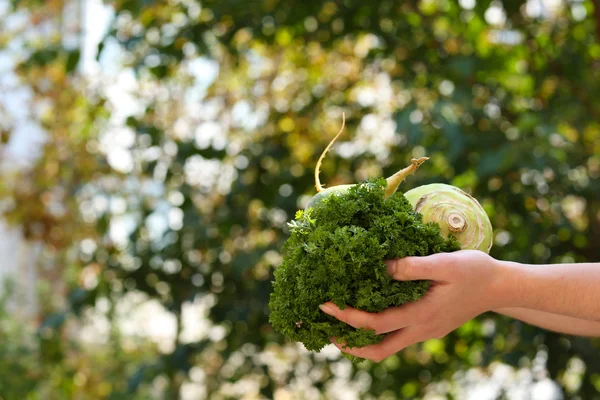 Washing vegetables, outdoors — Stock Photo, Image