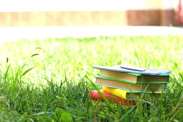 Livres empilés dans l'herbe — Photo