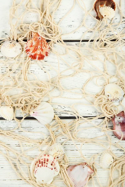 Decor of seashells table — Stock Photo, Image