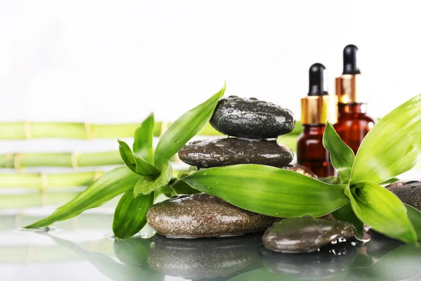 Wellness stones, bamboe takken en aroma-olie — Stockfoto