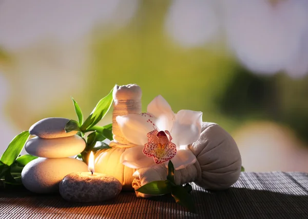 Spa herbal massage bags — Stock Photo, Image