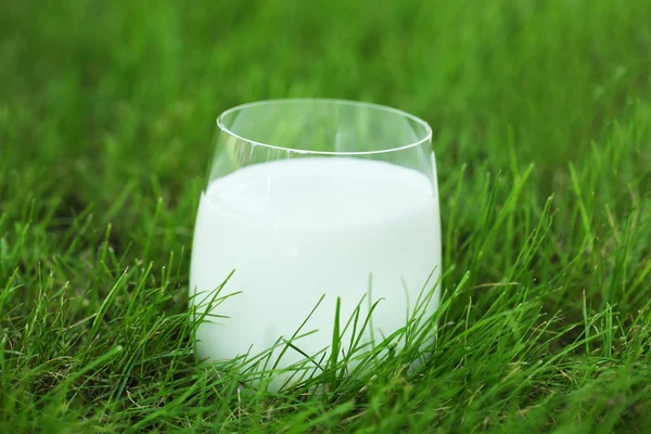 牛奶在草地上的玻璃 — 图库照片