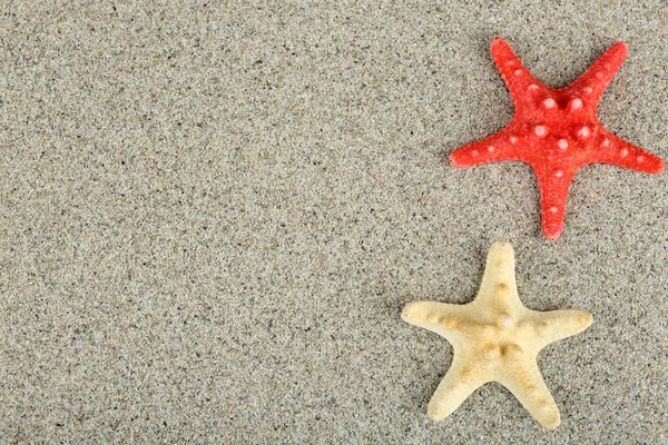 Starfish on sand background — Stock Photo, Image