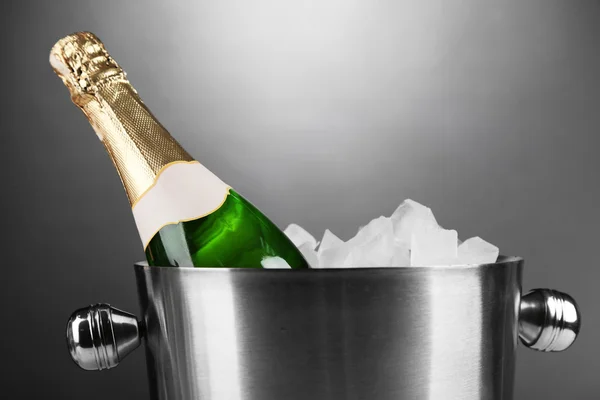 Champagne i hink — Stockfoto