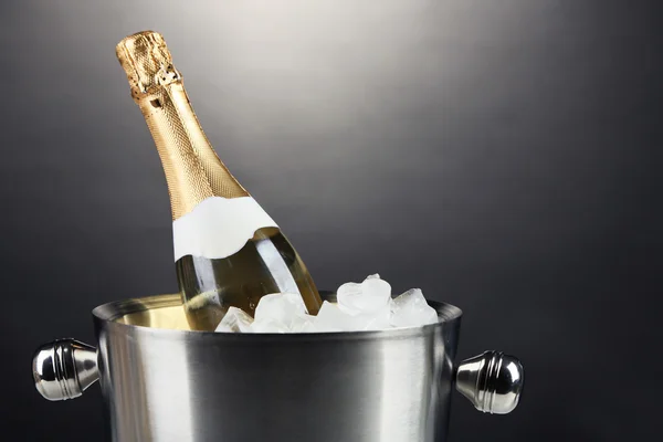 Champagne in bucket — Stock Photo, Image