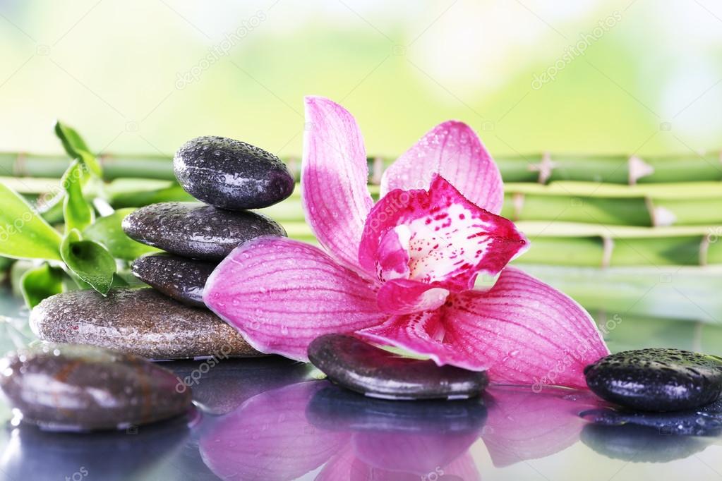 Spa stones, bamboo branches