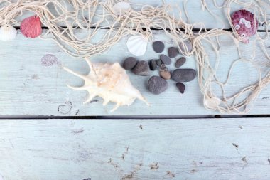 Deniz kabuklarını masada dekor