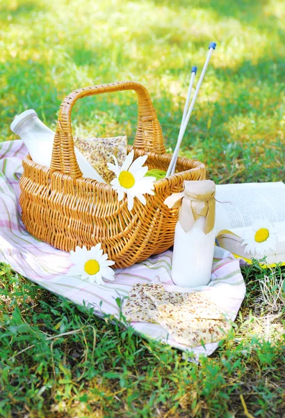 Tasty snack in basket on grassy background for spending nice weekend in a park — Stock Photo, Image