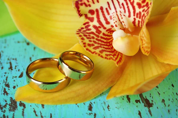 Anéis de casamento e flor de orquídea, close-up, na cor de fundo de madeira — Fotografia de Stock