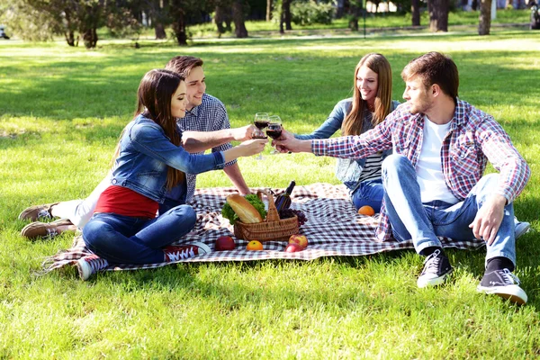Amigos felizes no piquenique no parque — Fotografia de Stock