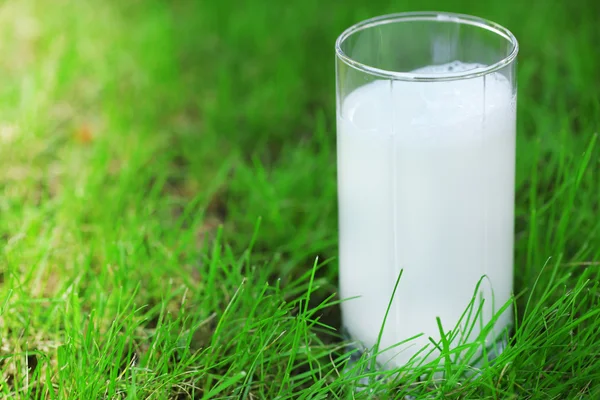 Leche en vaso sobre hierba — Foto de Stock