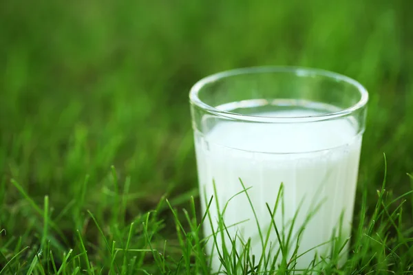 Milch im Glas auf Gras — Stockfoto