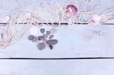 deniz kabuklarını dekoru