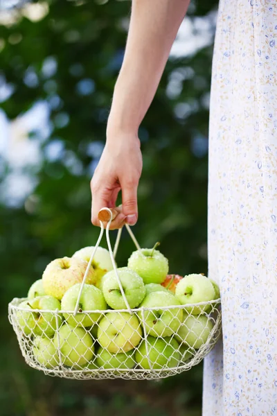 Mädchen hält Korb mit Äpfeln — Stockfoto