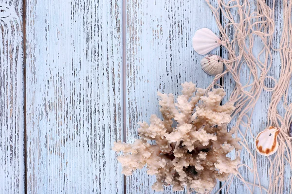 Decoração de conchas close-up em mesa de madeira azul — Fotografia de Stock