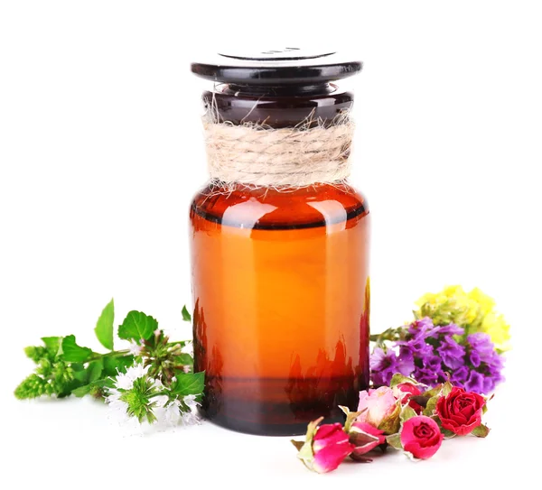 Essential oil with different medicine plants — Stock Photo, Image