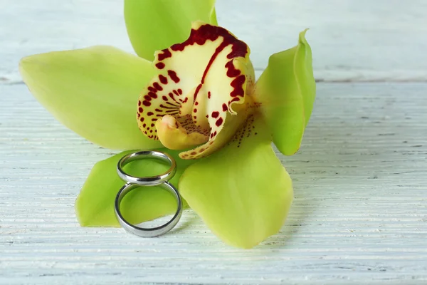 Anillos de boda y flor de orquídea — Foto de Stock