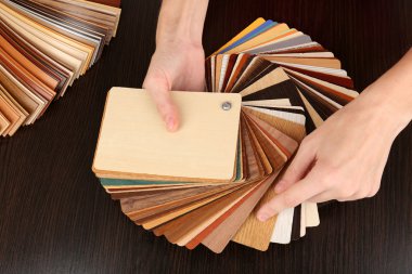 mobilya için renk paleti