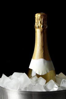 Bir kova buz ile şampanya