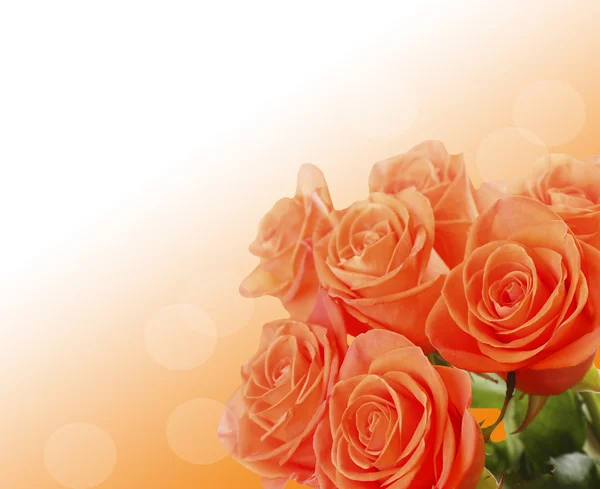 Ramo de hermosas rosas sobre fondo claro — Foto de Stock
