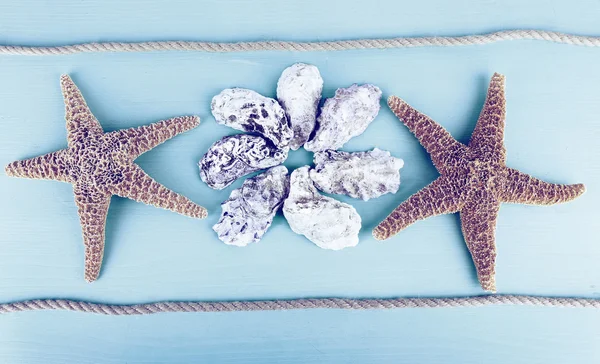 Sea souvenirs on light blue background — Stock Photo, Image