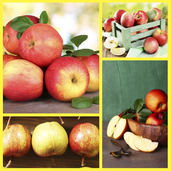 Colagem de maçãs — Fotografia de Stock