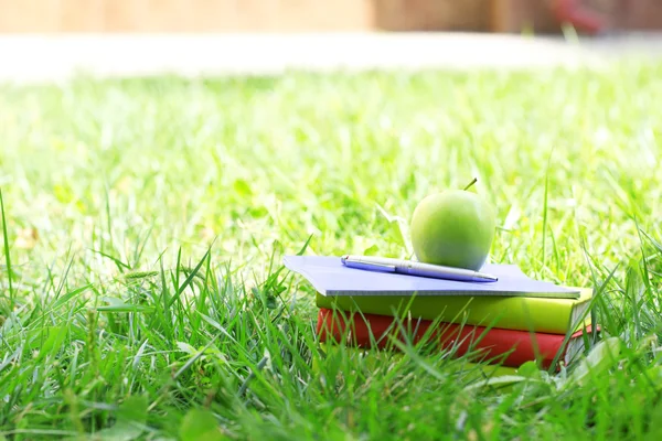 Stacked books in grass, outside — Stock Photo, Image