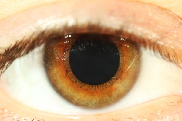Brązowy ludzkie oko — Zdjęcie stockowe
