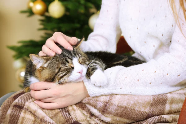 Kvinna och söt katt sitter på gungstol framför granen — Stockfoto