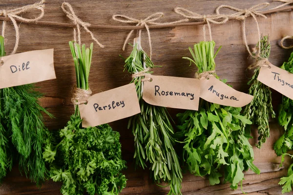 Verschiedene frische Kräuter — Stockfoto