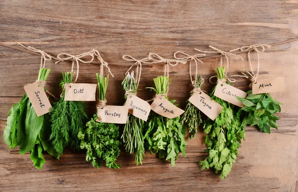 Different fresh herbs — Stock Photo, Image