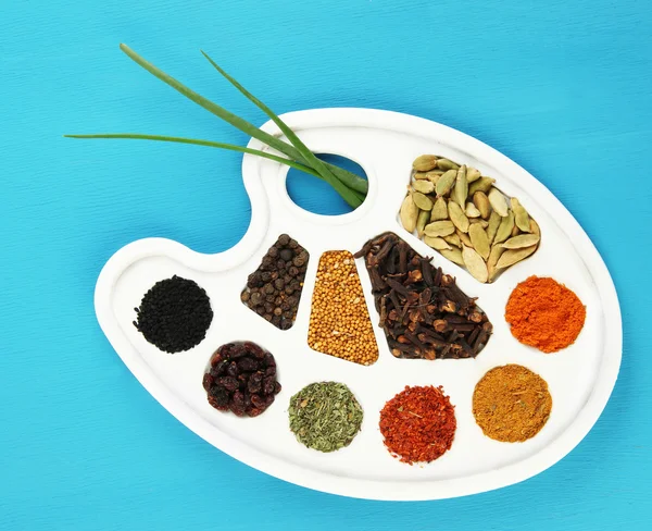 Painting palette with various spices and herbs — Stock Photo, Image