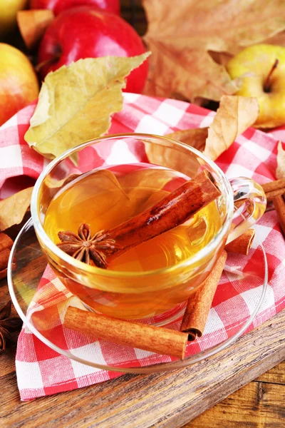 Apple cider with cinnamon sticks — Stock Photo, Image