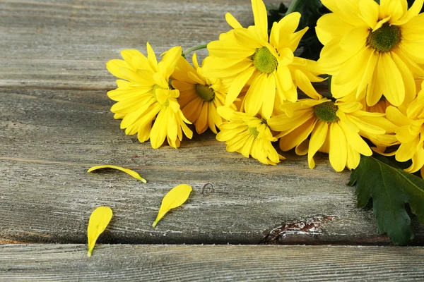 Yellow chrysanthemum flowers — Stock Photo, Image