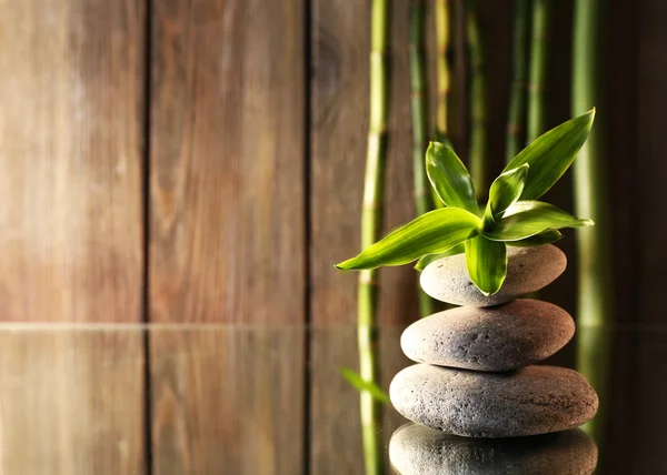 Spa stones and bamboo — Stock Photo, Image