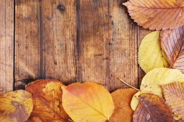 Yellow leaves on brown wooden background — Stock Photo, Image