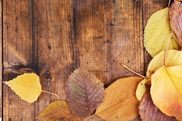 Yellow leaves on brown wooden background — Stock Photo, Image