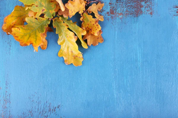 Yellow leaves on blue wooden background — Stock Photo, Image