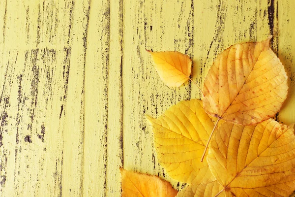 Bladeren op gele houten achtergrond — Stockfoto