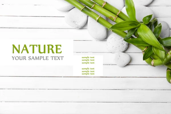 Spa bamboo on wooden background — Stock Photo, Image