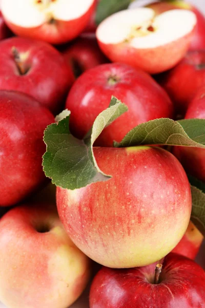 成熟的红苹果收尾 — 图库照片