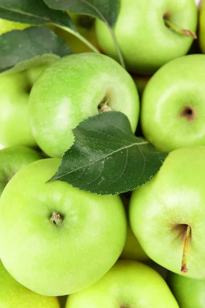 Mogna gröna äpplen på nära håll — Stockfoto